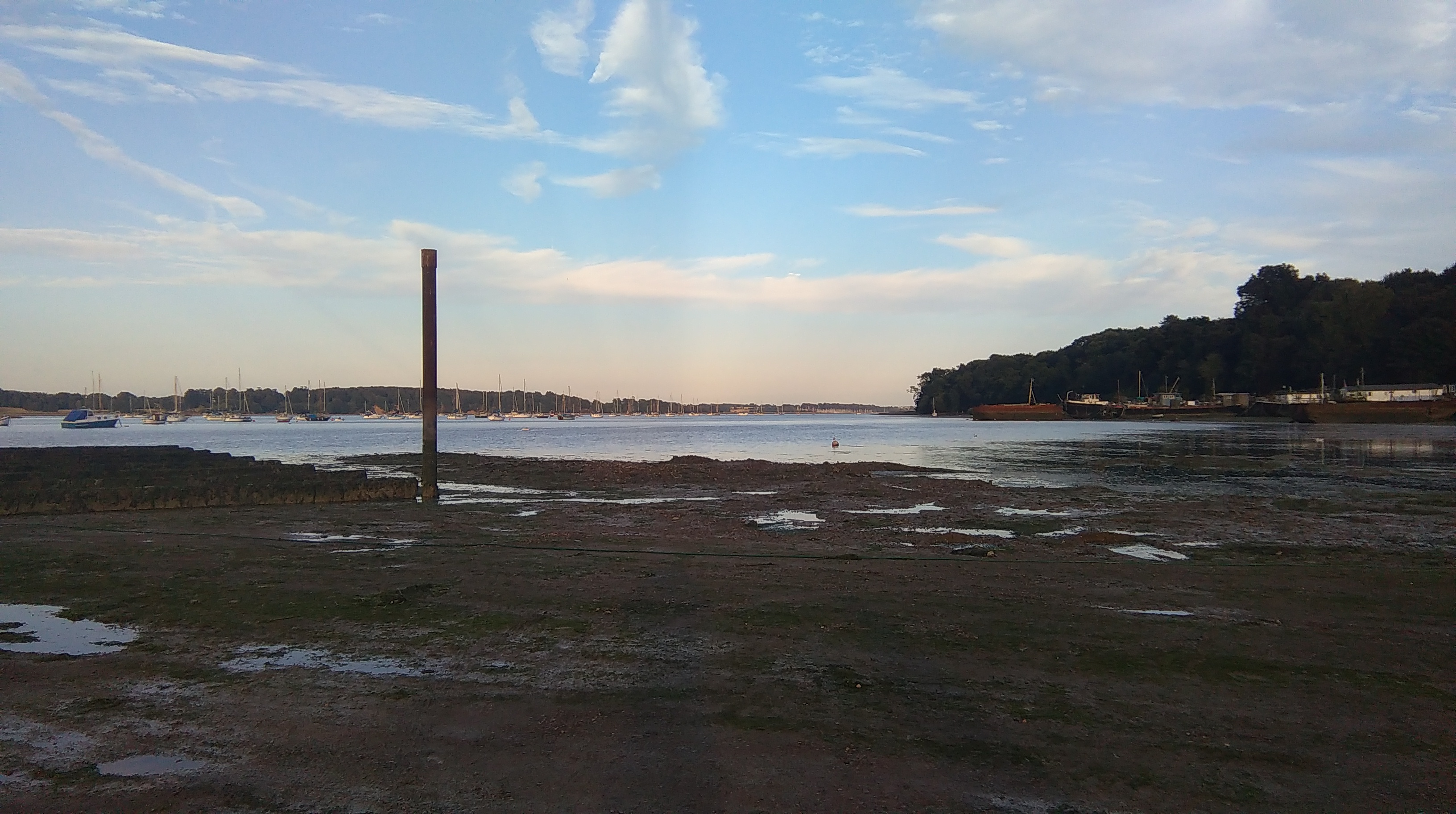 Water Quality at Pin Mill