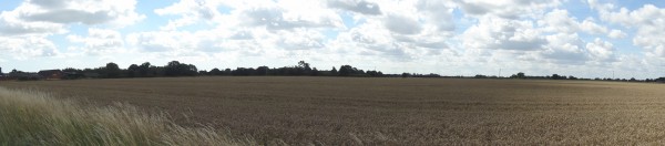 Chelmondiston Landscape